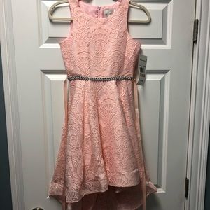 Gorgeous Rare Editions girls size 12 pink dress